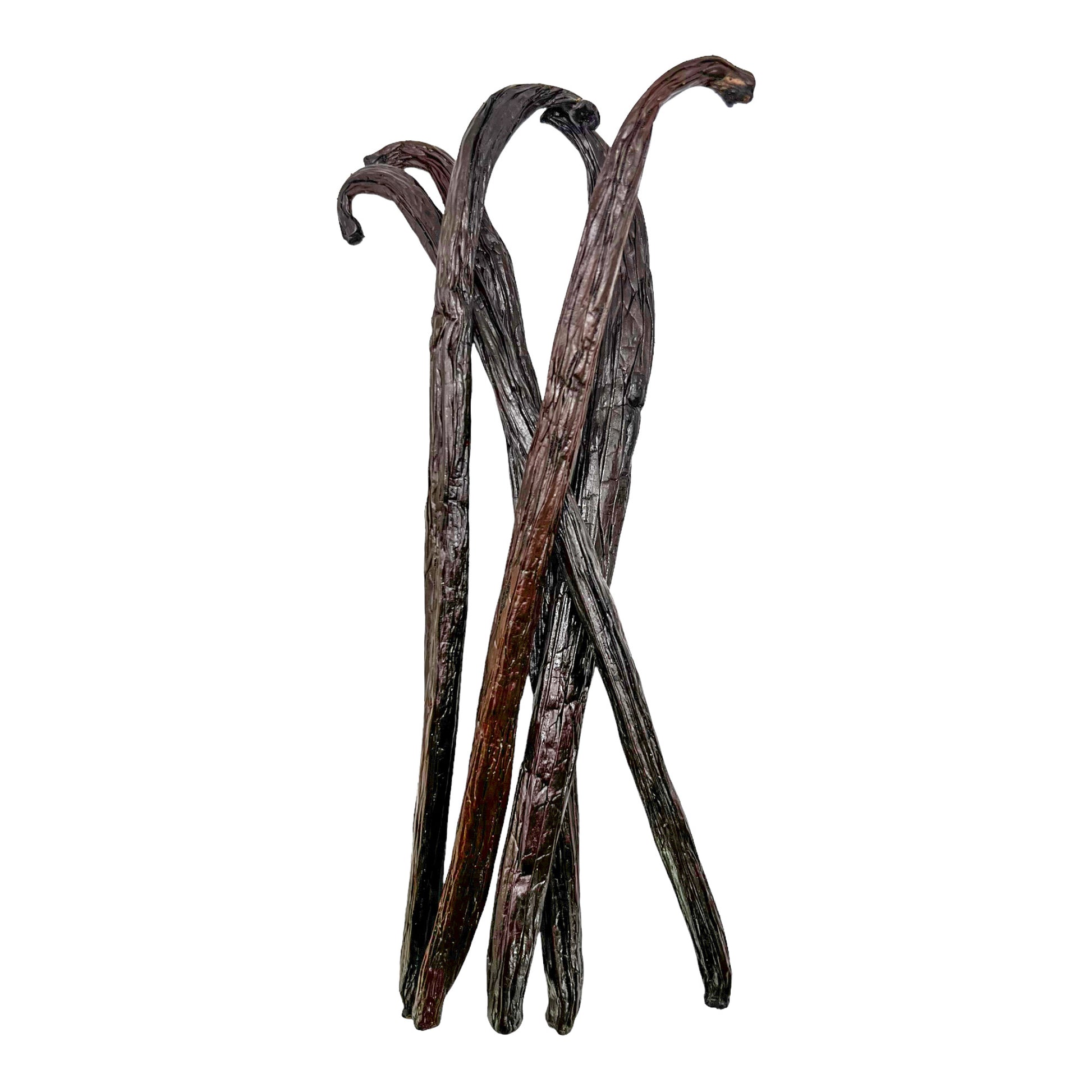 Gousses de Vanille Bourbon de Madagascar -  Paradis des Épices